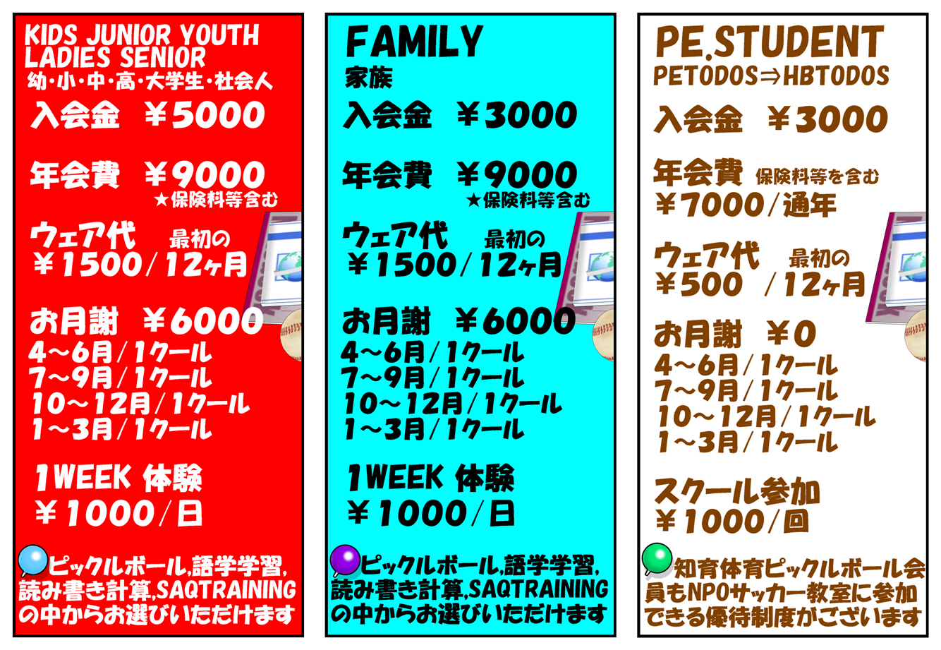 TODOS UNIDOS/日本-スペイン【ピックルボールクラブ】柏市,松戸市,千葉県☆初心者,経験者,幼児,小学生,中学生,高校生,大学生,社会人,女性,男性 FOR ALL